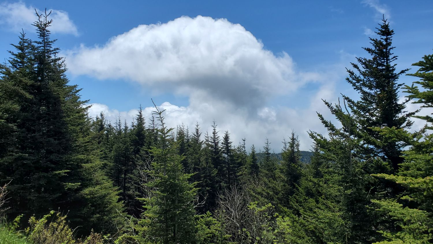 Clingmans's Dome Parking Lot 